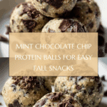 Mint Chocolate Chip Protein Balls Recipe