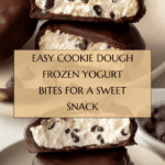 Cookie Dough Frozen Yogurt Bites Recipe