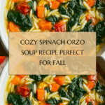 Hearty Spinach Orzo Soup Recipe