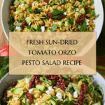 Sun Dried Tomato Orzo Pesto Salad Recipe
