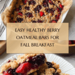Healthy Berry Oatmeal Bars Breakfast Recipe