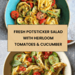 Potsticker Salad Recipe