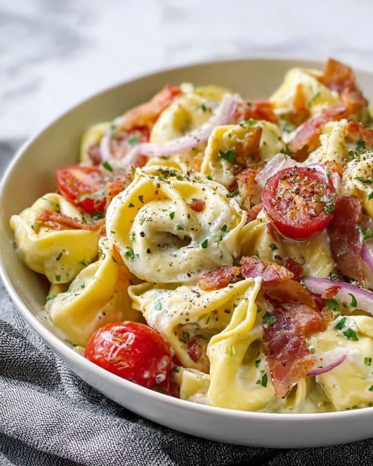 Fresh Grinder Tortellini Salad Recipe