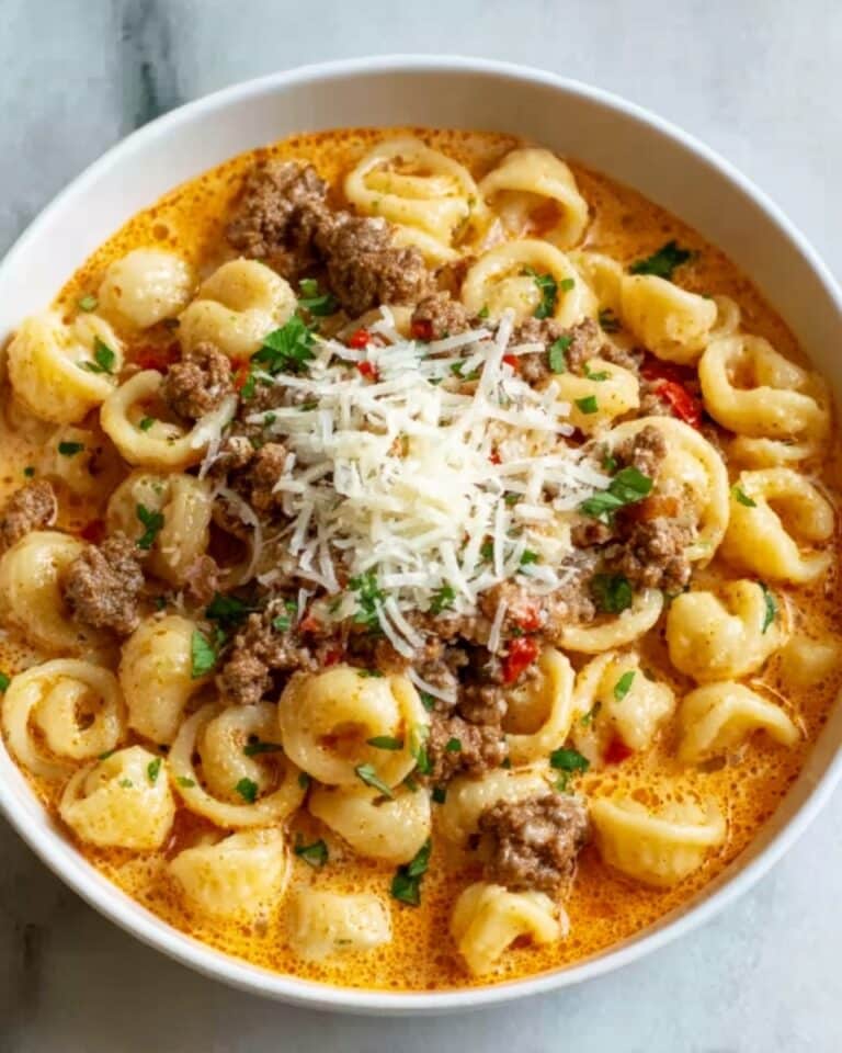 Parmesan Italian Sausage Ditalini Soup Recipe