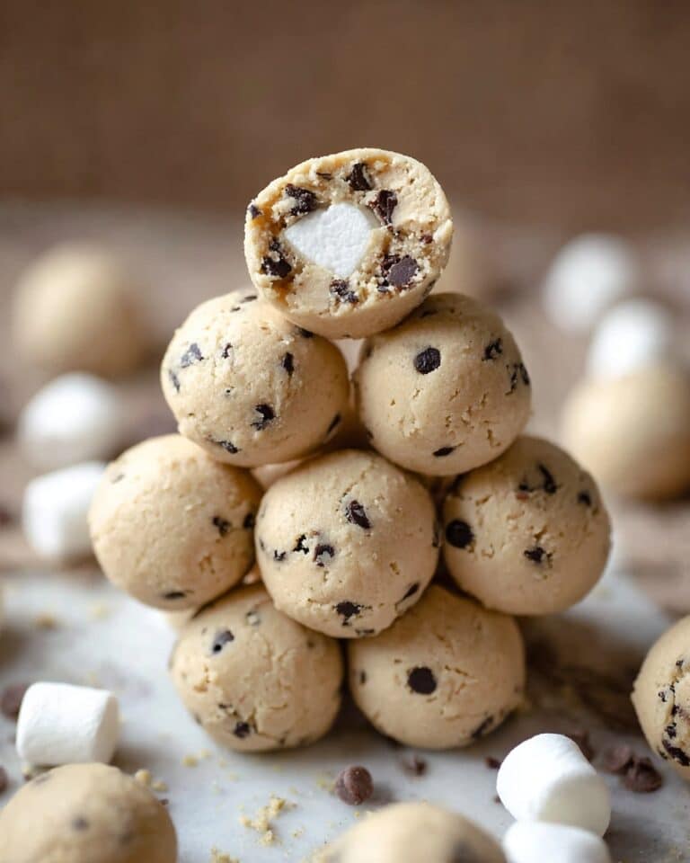 S’Mores Protein Bites Recipe